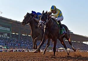 1000 guineas stakes betting site - QIPCO 1000 Guineas Stakes Betting 2022